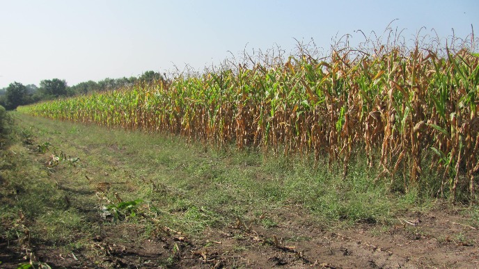 Podsticaji za poljoprivrednike